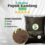 Pupuk Kandang Kohe Kambing Untuk Media Tanam